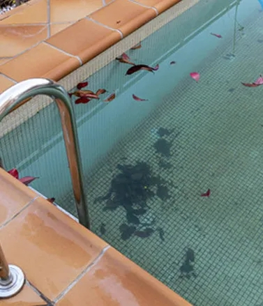 Robot de nettoyage de piscine sans fil