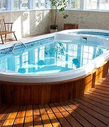 Aspirateur de piscine portatif