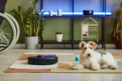Puis-je emporter un robot aspirateur dans un avion