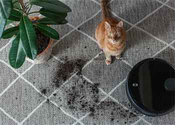 Comment choisir un robot aspirateur