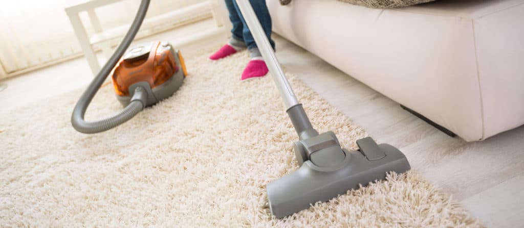 Aspirateur pour puces